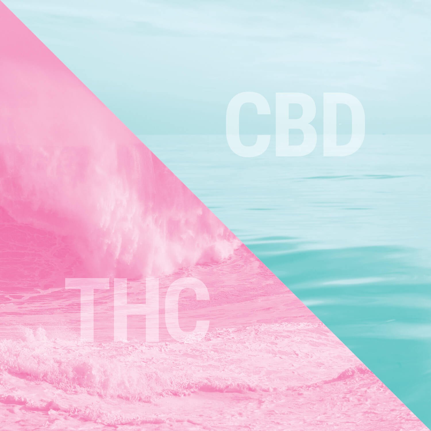 THC et CBD