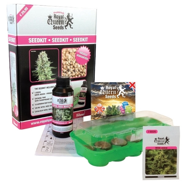 Seedkit Graines de Cannabis Royal Queen Seeds