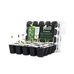 Boîte d'Allumettes Éco - Royal Queen Seeds