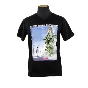 Royal Queen Seeds T-shirt Pingouin Royal Queen Seeds T-shirt Pingouin