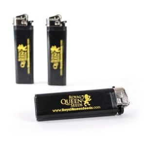 RQS gratuit Briquet