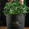 Pot RQS en tissu géotextile
