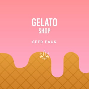 Pack The Gelato
