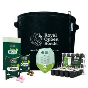 Kit de Culture du Cannabis Débutant