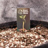 Étiquettes de plantes Eco 5 PCS
