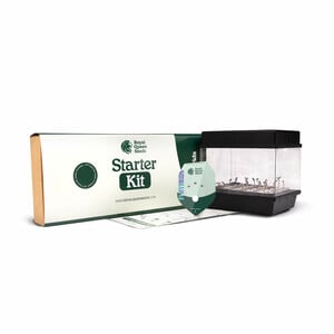 Starter Kit F1 Hybrid