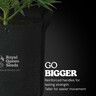 Pot geotextile Pro