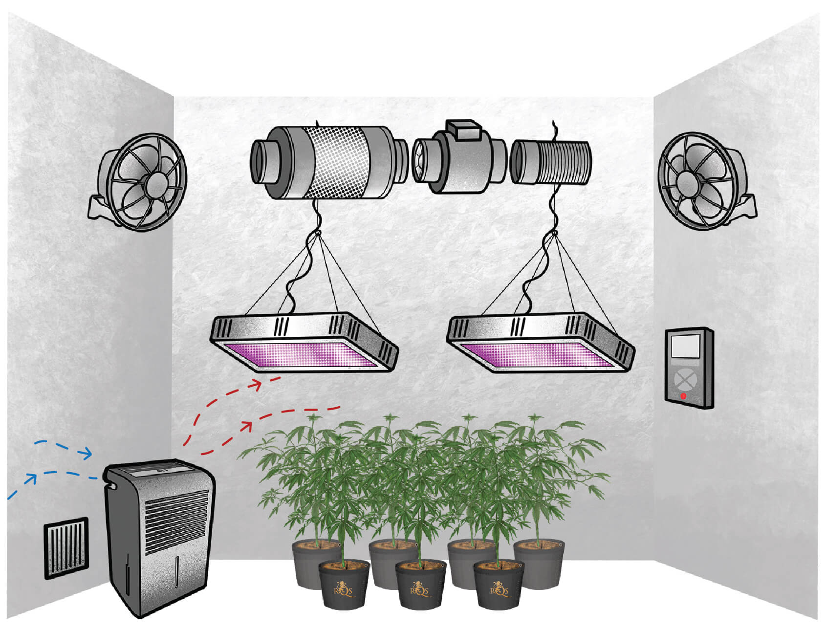 Comment Choisir Le Bon Déshumidificateur Pour Cultiver Du Cannabis ?