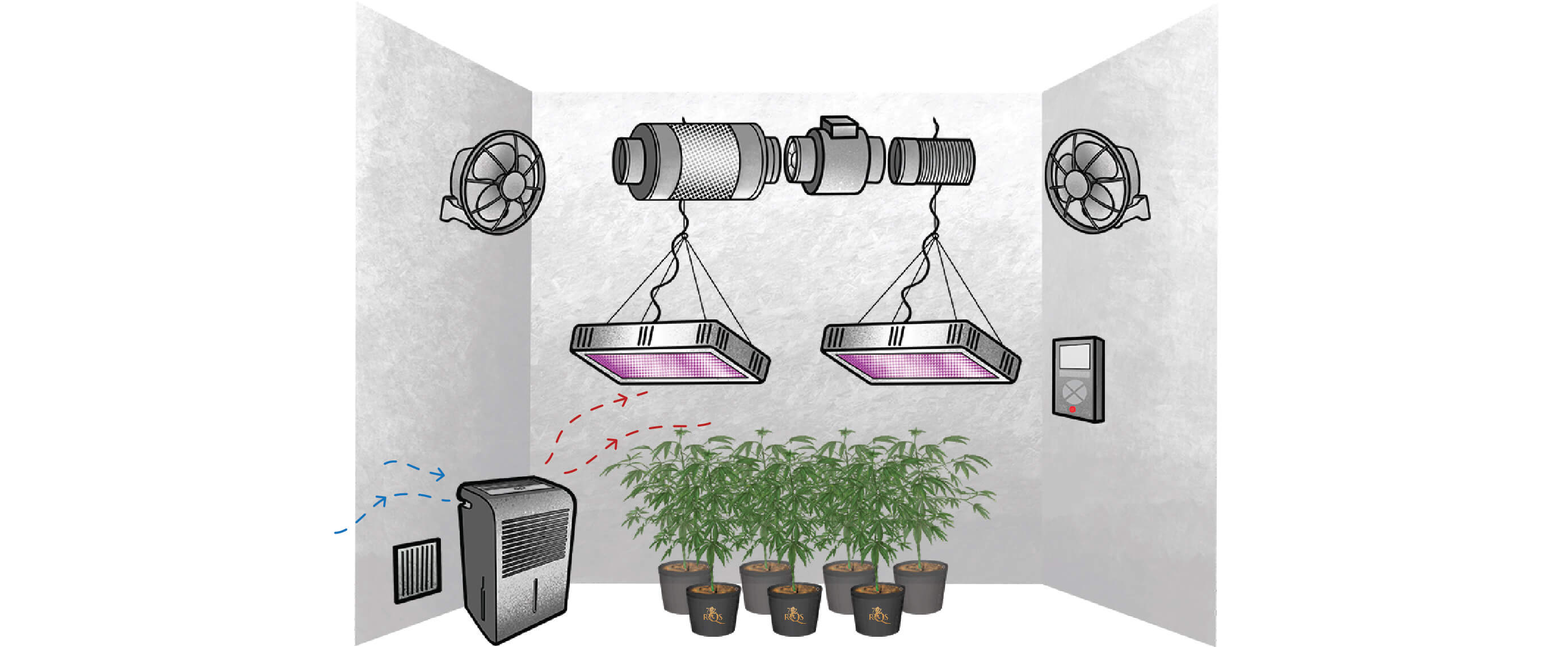 Comment Choisir Le Bon Déshumidificateur Pour Cultiver Du Cannabis ?