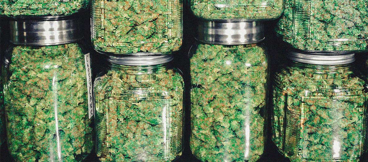 Le cannabis réduit-il douleur et inflammation arthritiques ? Le cannabis réduit-il douleur et inflammation arthritiques ?