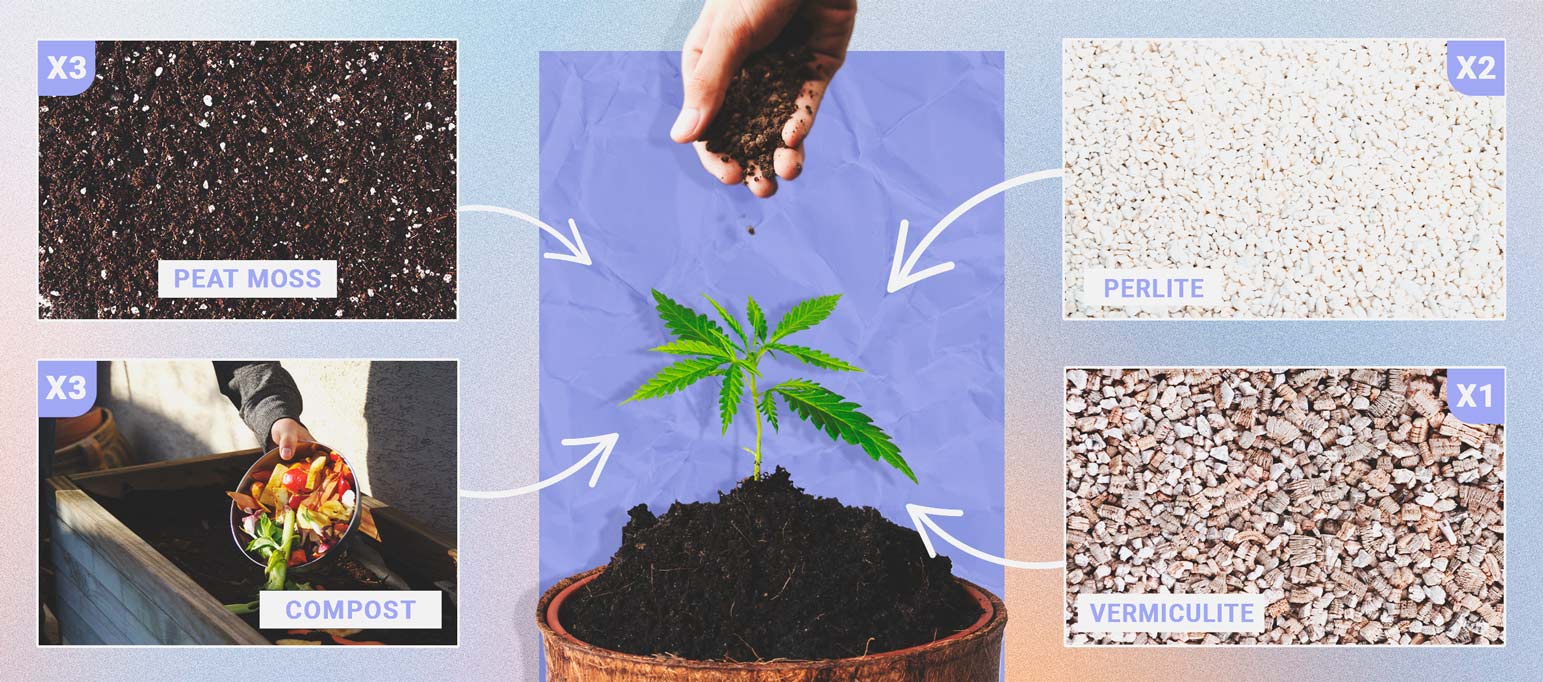 Le Meilleur Substrat Pour La Culture De Variétés À Autofloraison Le Meilleur Substrat Pour La Culture De Variétés À Autofloraison
