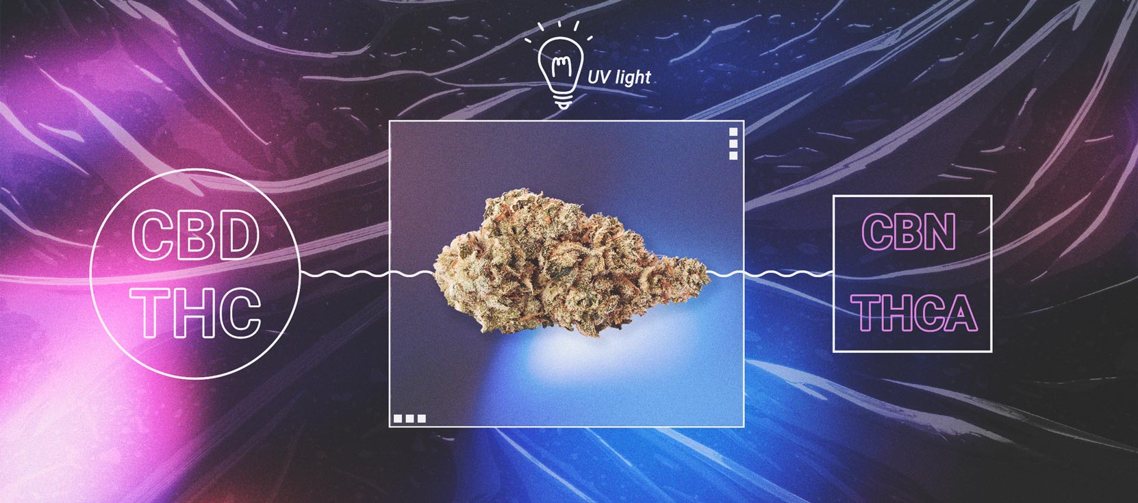 Le cannabis peut-il tourner avec le temps ? Le cannabis peut-il tourner avec le temps ?