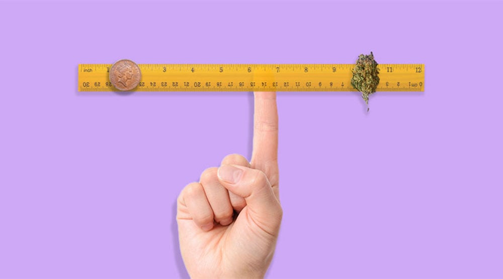 How to Weigh Weed Without a Scale How to Weigh Weed Without a Scale