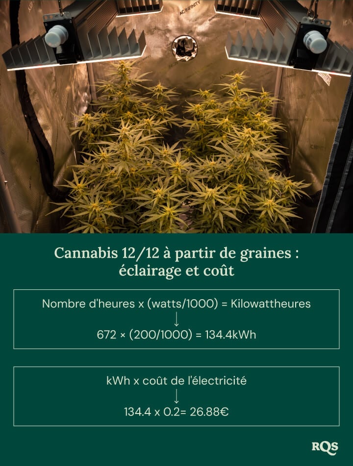 12-12 cannabis light cycle cost