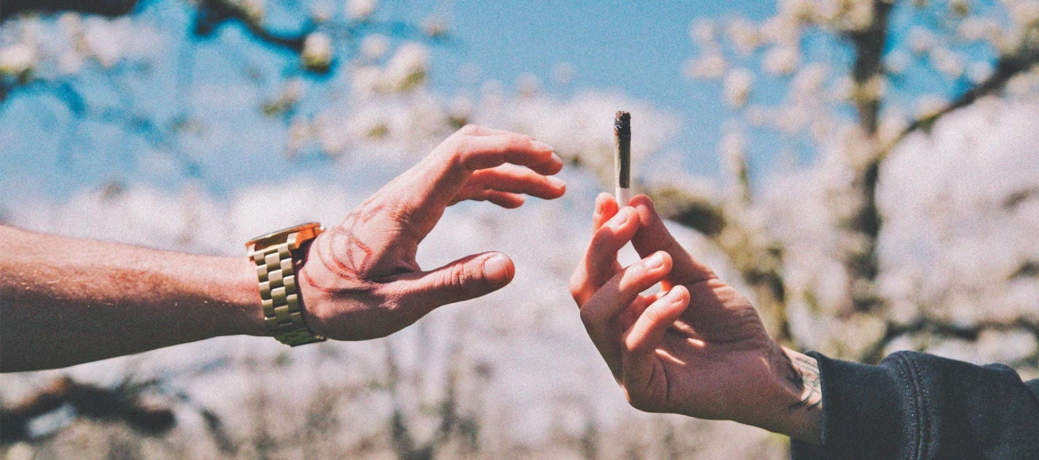 Conseils De Sécurité Pour Les Nouveaux Consommateurs De Cannabis