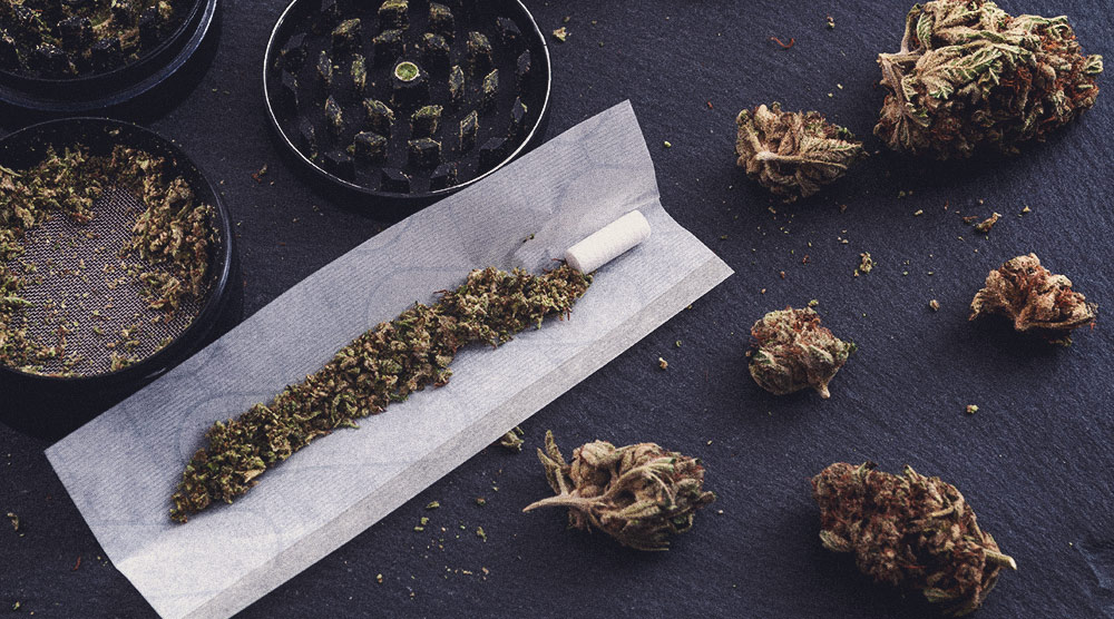 Les femmes et le cannabis : améliorer leur hygiène de vie Les femmes et le cannabis : améliorer leur hygiène de vie
