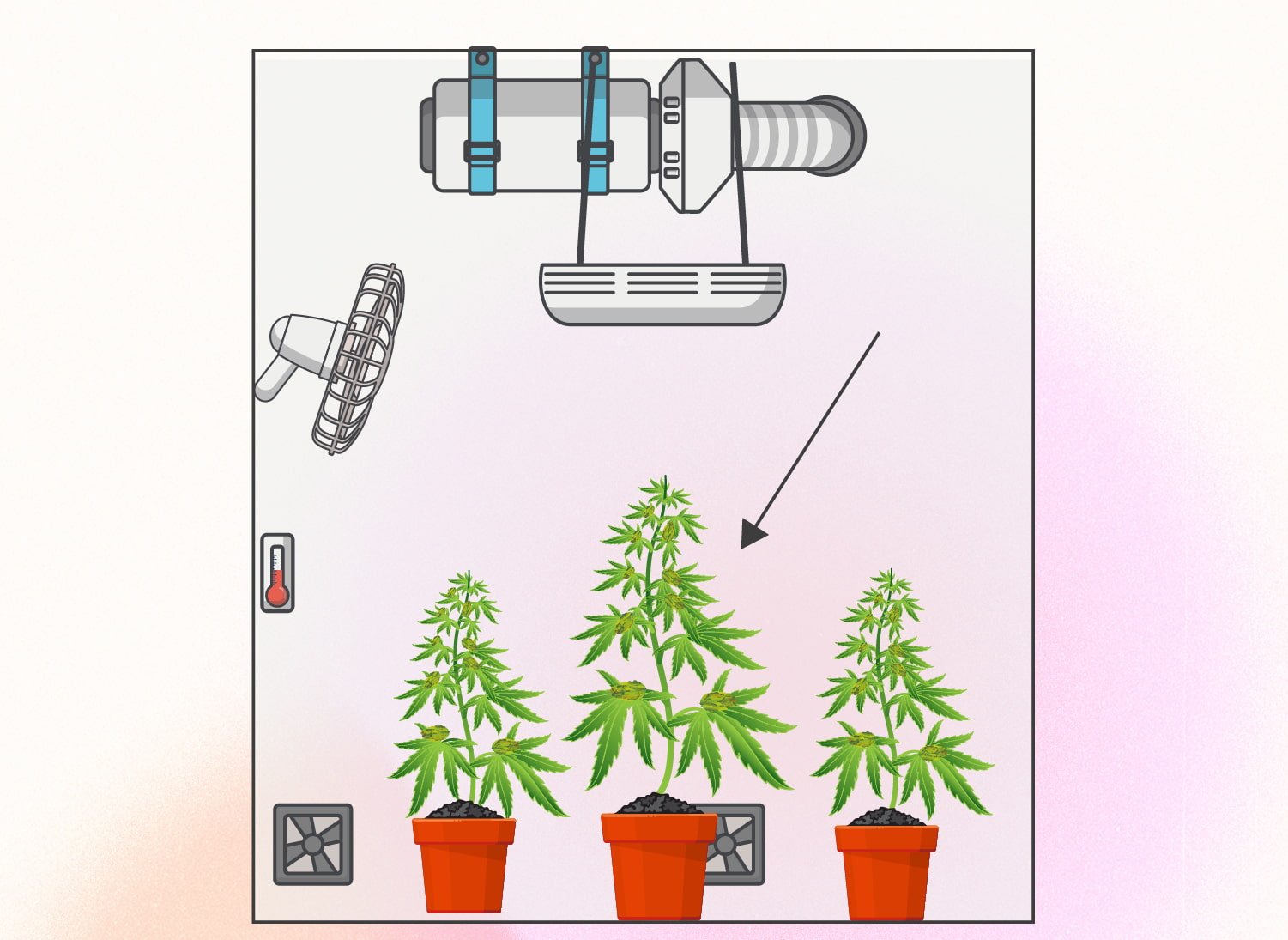 Cannabis et monster cropping : un guide étape par étape Cannabis et monster cropping : un guide étape par étape