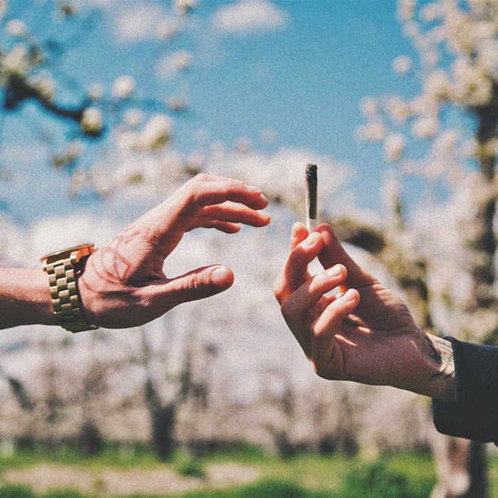 Conseils De Sécurité Pour Les Nouveaux Consommateurs De Cannabis Conseils De Sécurité Pour Les Nouveaux Consommateurs De Cannabis