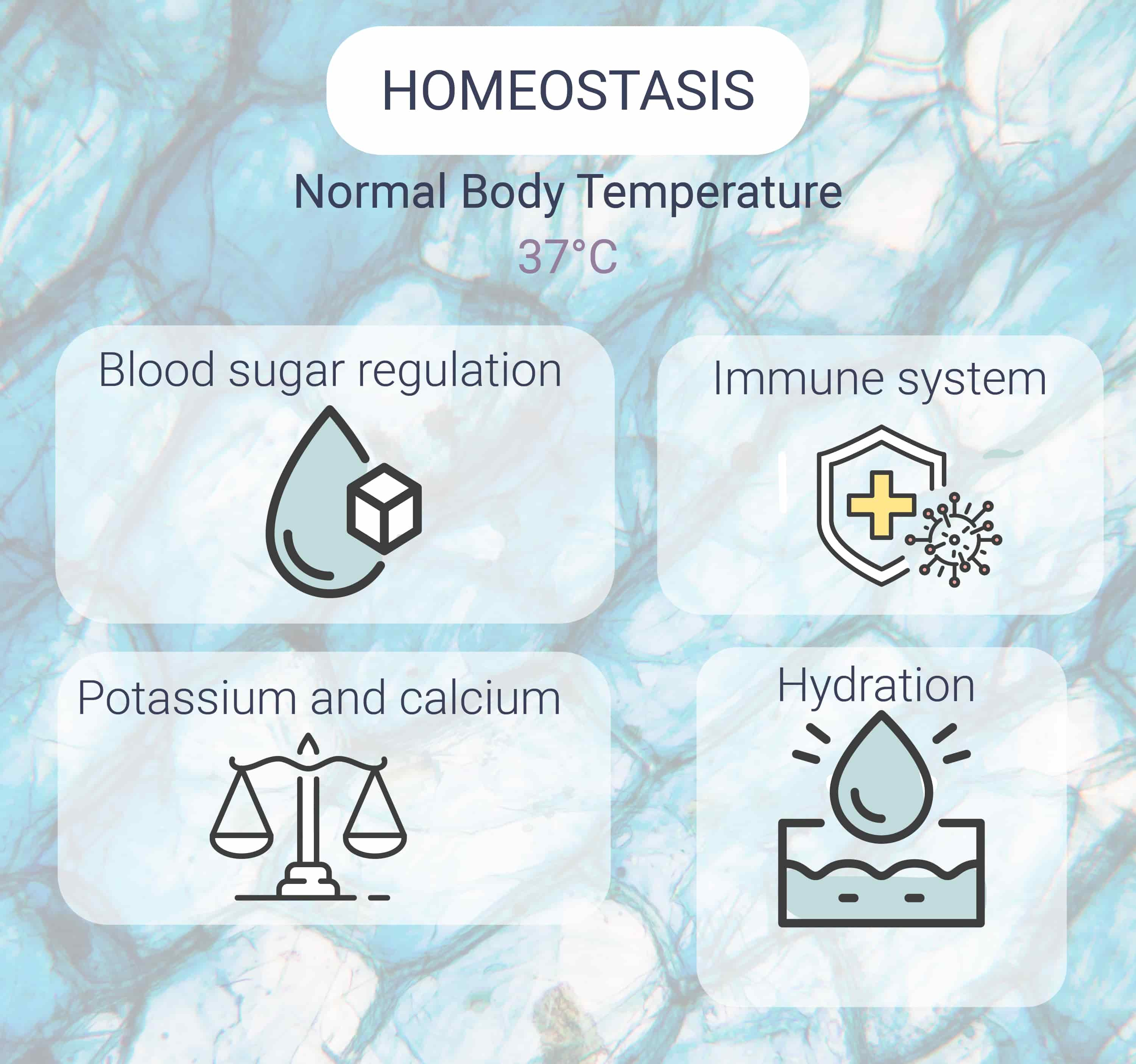 Qu’est-ce que l’homéostasie ?