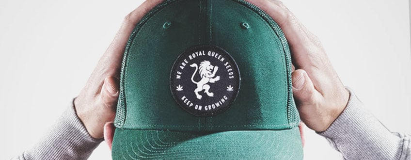 Une personne tenant une casquette de baseball verte avec un logo de lion blanc et les mots 