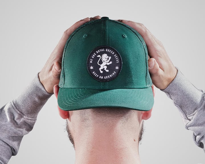 Une personne tenant une casquette de baseball verte avec un logo de lion blanc et les mots 