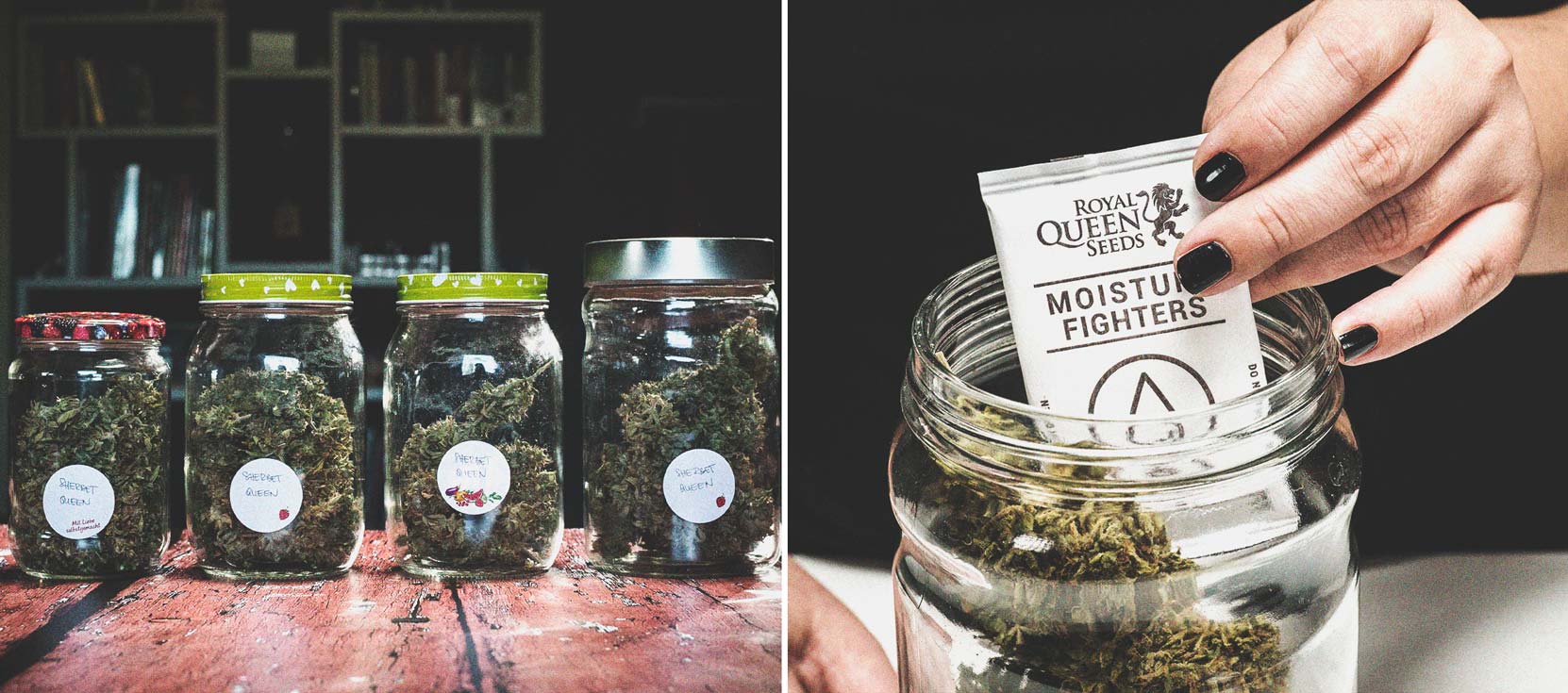 Alerte Aux Fumeurs : Fumer Du Cannabis Moisi Alerte Aux Fumeurs : Fumer Du Cannabis Moisi