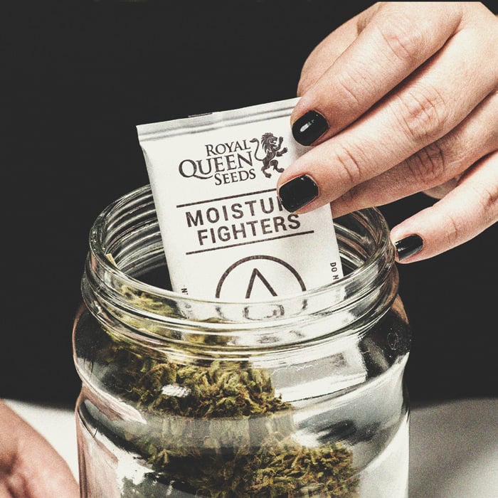 Alerte Aux Fumeurs : Fumer Du Cannabis Moisi Alerte Aux Fumeurs : Fumer Du Cannabis Moisi