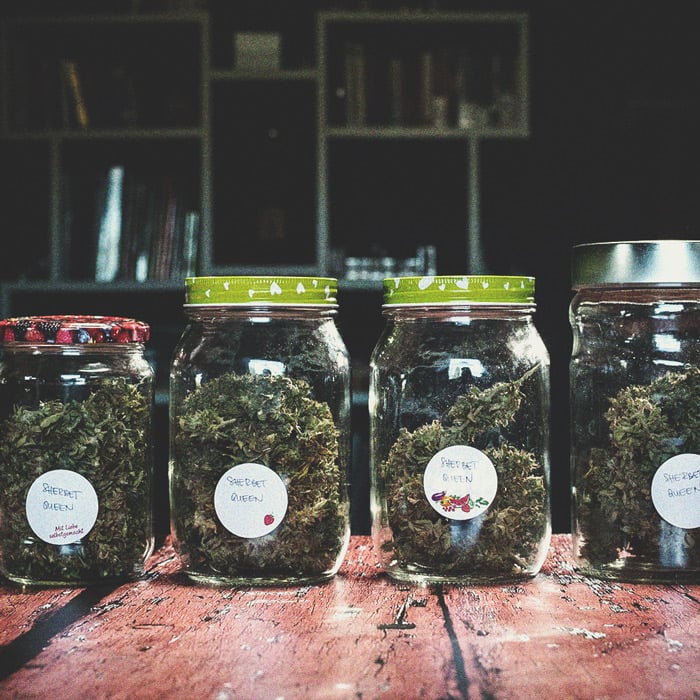 Alerte Aux Fumeurs : Fumer Du Cannabis Moisi Alerte Aux Fumeurs : Fumer Du Cannabis Moisi