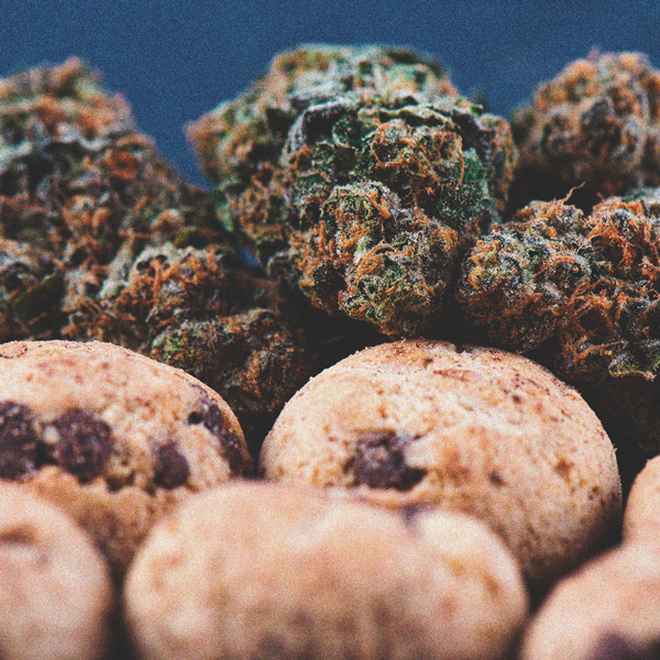 Comment Éviter Les Micro-Têtes Sur Vos Plants De Cannabis Comment Éviter Les Micro-Têtes Sur Vos Plants De Cannabis