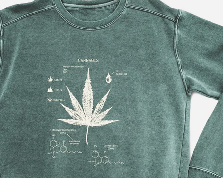 Un sweat-shirt vert avec une feuille de cannabis blanche et des structures chimiques imprimées dessus.