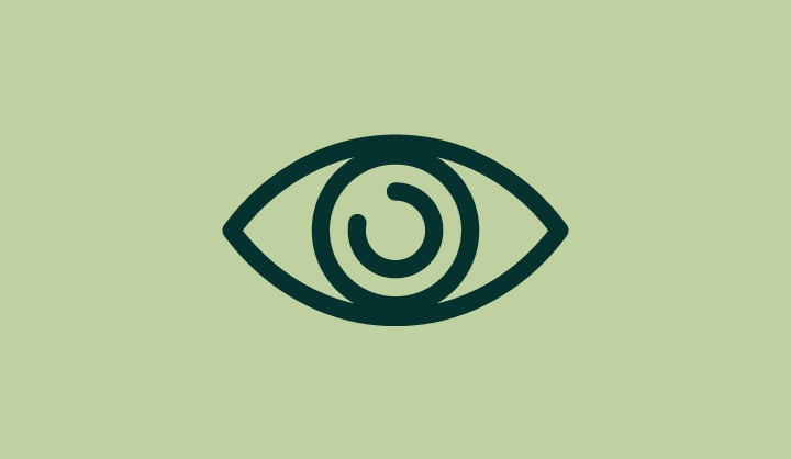 La vue