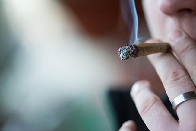 l'Addiction au Cannabis
