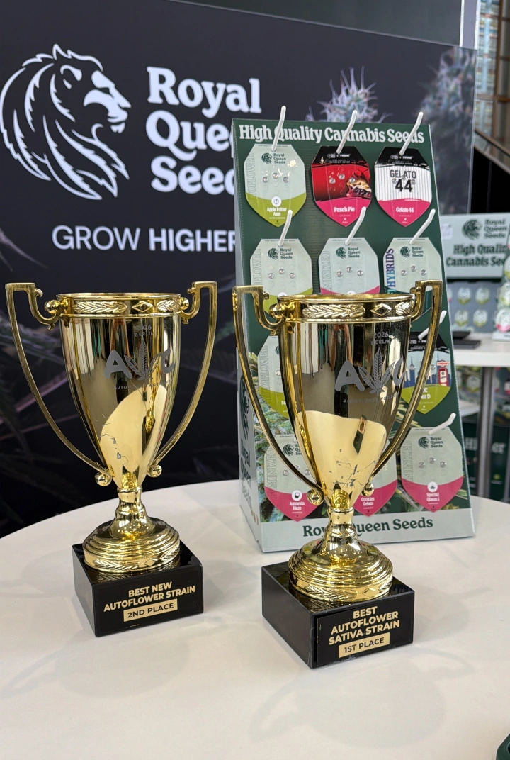 Trainwreck Auto et Gaia F1 gagnent à l’Autoflower World Cup Découvrez Trainwreck Auto et Gaia F1, deux variétés Royal Queen Seeds récompensées lors de l’Autoflower World Cup 2026.