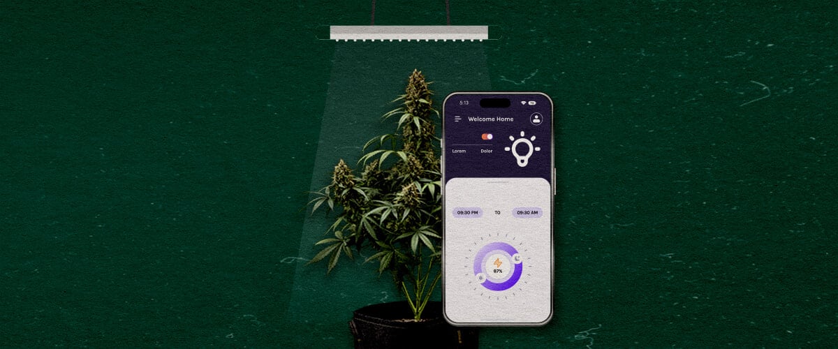 Une illustration d'une plante de cannabis sous une lampe de culture avec un smartphone affichant une application de contrôle, sur un fond vert, mettant en avant des fonctionnalités avancées à considérer.