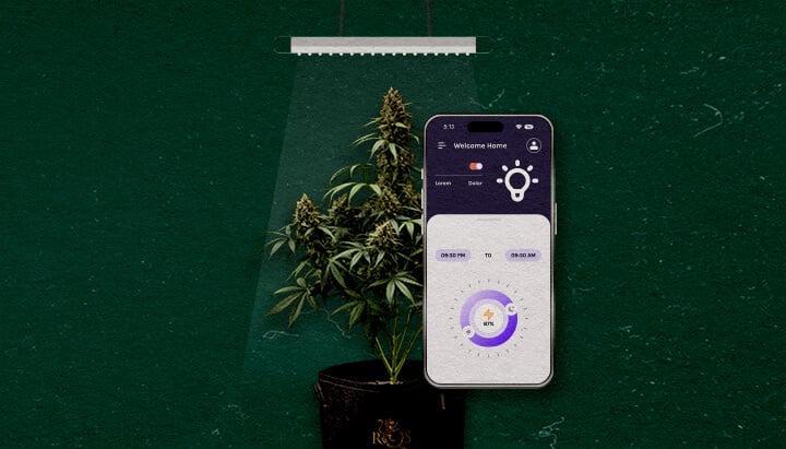 Une illustration d'une plante de cannabis sous une lampe de culture avec un smartphone affichant une application de contrôle, sur un fond vert, mettant en avant des fonctionnalités avancées à considérer.