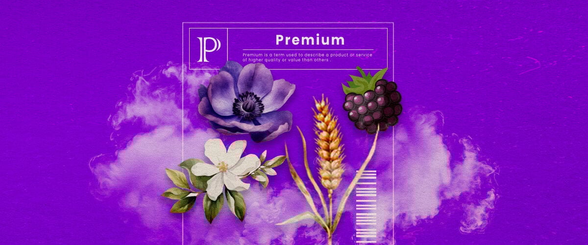 Une illustration des bourgeons de cannabis Granddaddy Purple avec des teintes pourpres profondes et une structure dense, mettant en valeur ses traits hybrides dominants indica et son arôme doux de raisin, sur un fond vert.