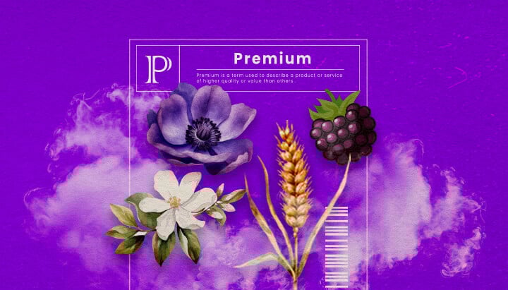 Une illustration des bourgeons de cannabis Granddaddy Purple avec des teintes pourpres profondes et une structure dense, mettant en valeur ses traits hybrides dominants indica et son arôme doux de raisin, sur un fond vert.