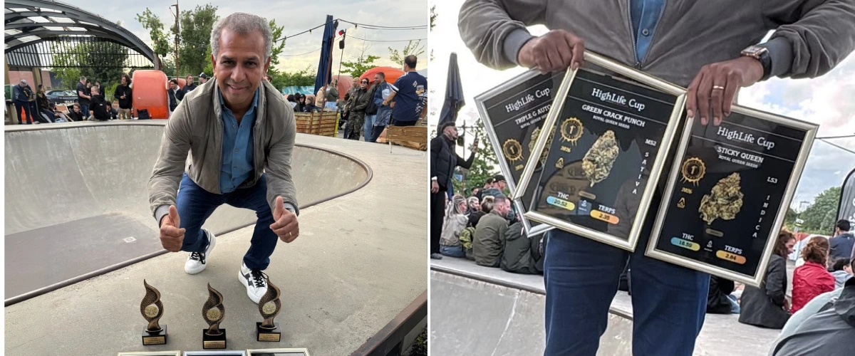 Cannabis Cup Awards et variétés gagnantes Découvrez les Cannabis Cup Awards et les variétés gagnantes de Royal Queen Seeds, dont Triple G Auto, Green Crack Punch et Sticky Queen.