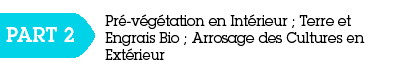 Pré-végétation Cannabis