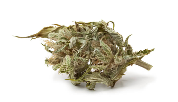 Qu’est-ce que le cannabis de qualité inférieure ? Qu’est-ce que le cannabis de qualité inférieure ?