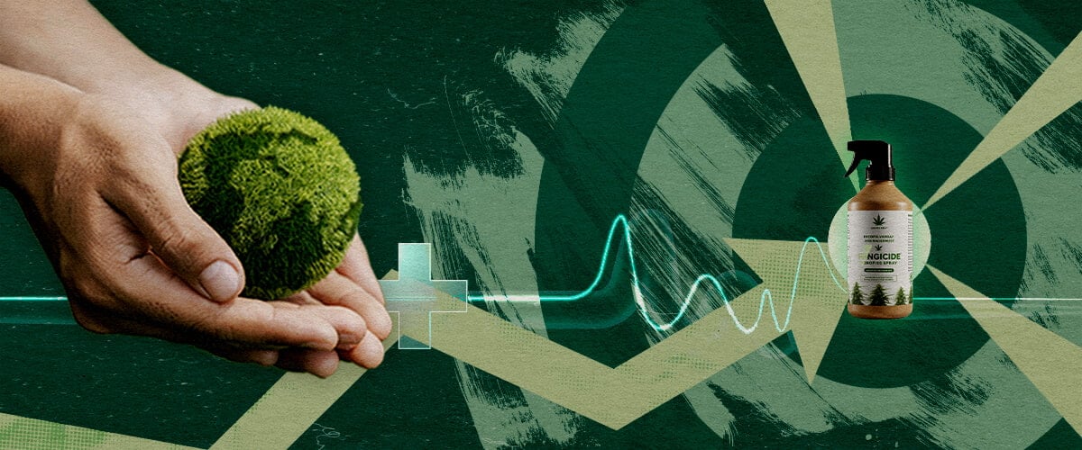 Protection Végétale Durable : Les Avantages Ciblés des Fongicides à Base de Cannabis Mains nourrissant une sphère verte saine près d'un fongicide organique, représentant une protection végétale ciblée et durable grâce aux extraits de cannabis.