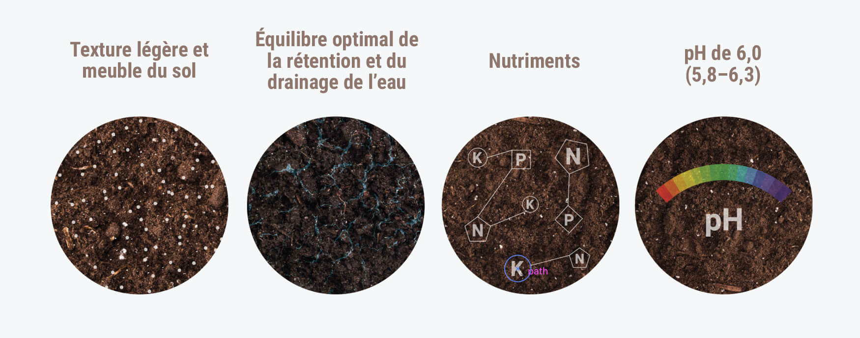 Quelle Est La Meilleure Terre Pour Cultiver De L’herbe ? Quelle Est La Meilleure Terre Pour Cultiver De L’herbe ?