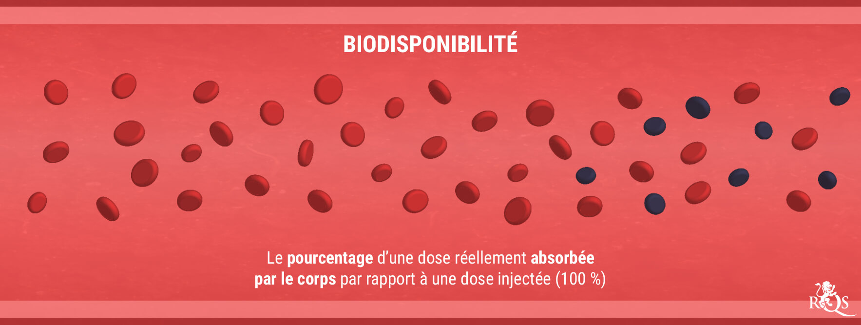 Biodisponibilité Biodisponibilité