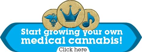 Cultivez votre propre marijuana médicale Cultivez votre propre marijuana médicale