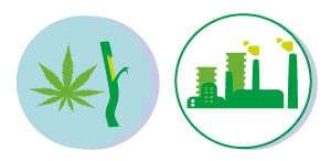 RENOUVELABLES cannabis