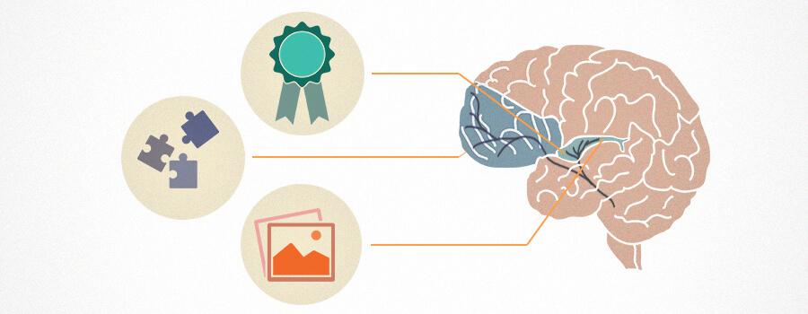 Cerveau et Dopamine Circuits Cannabis Cerveau et Dopamine Circuits Cannabis