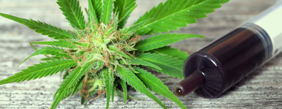 Medical Cannabis Oil for cancer treatment Medical Cannabis Oil pour treatment cancer
