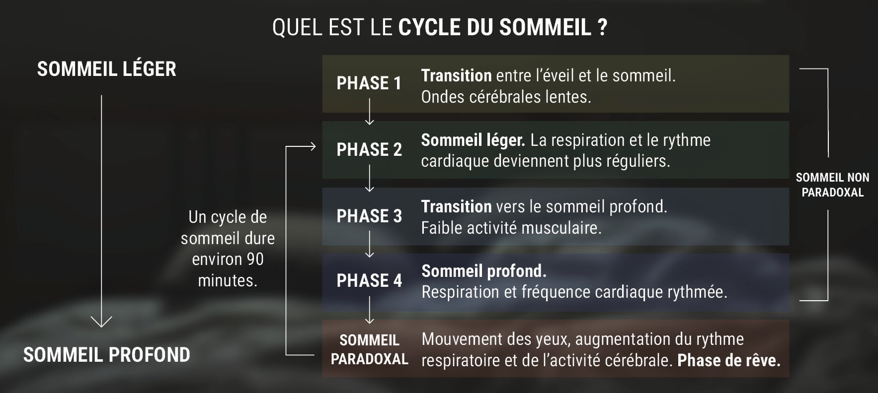 Qu'Est-Ce Que le Cycle de Sommeil ?