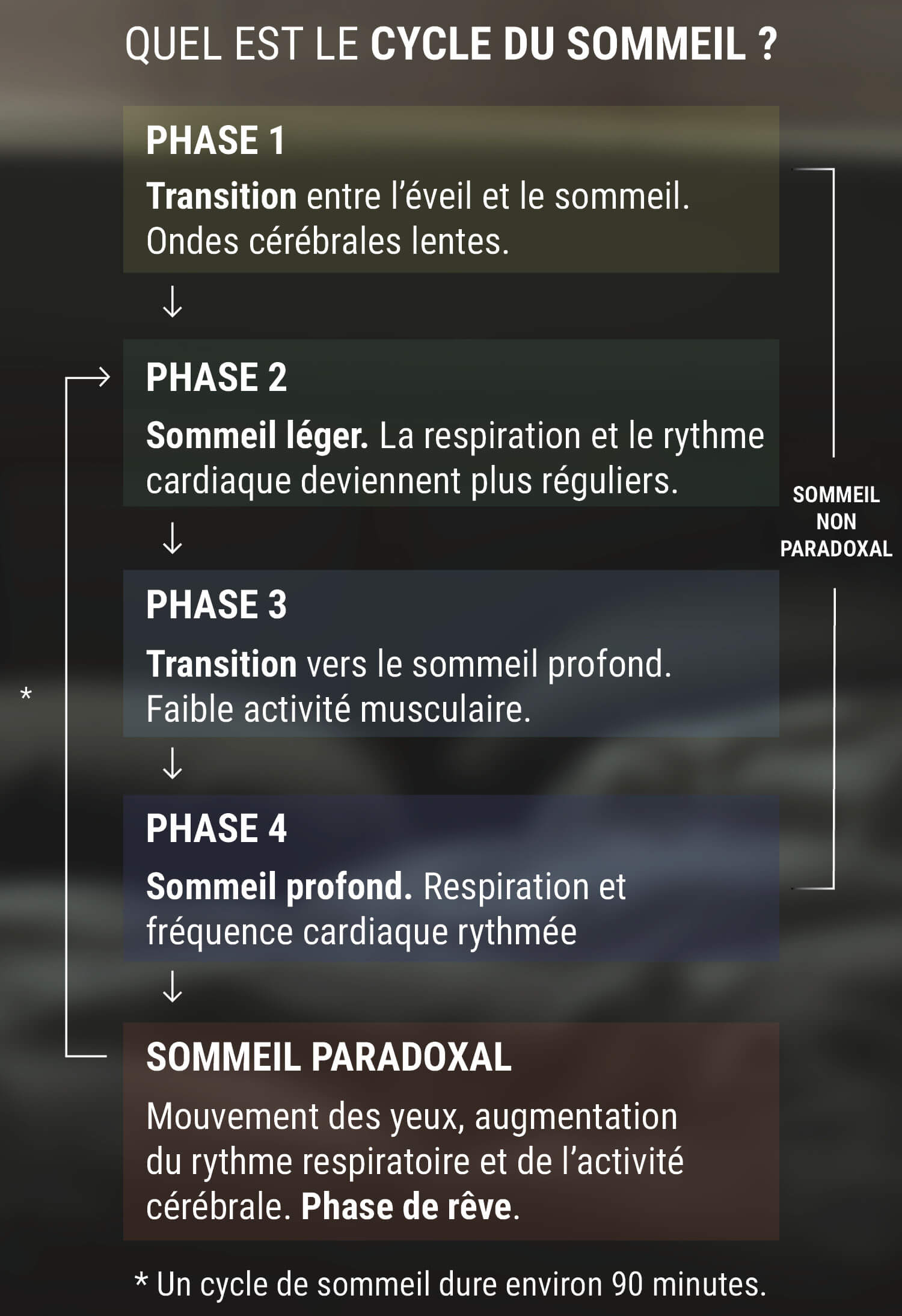 Qu'Est-Ce Que le Cycle de Sommeil ?