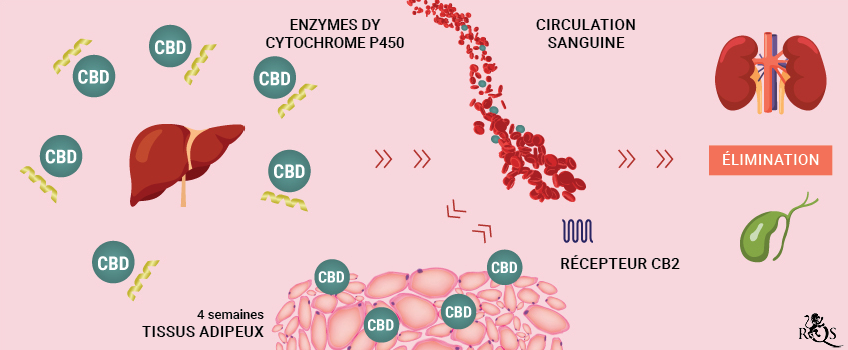 CBD Medication desktop-update-fr